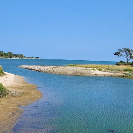 Loft - Duplex Les Pieds Dans L'eau Vue Mer *
